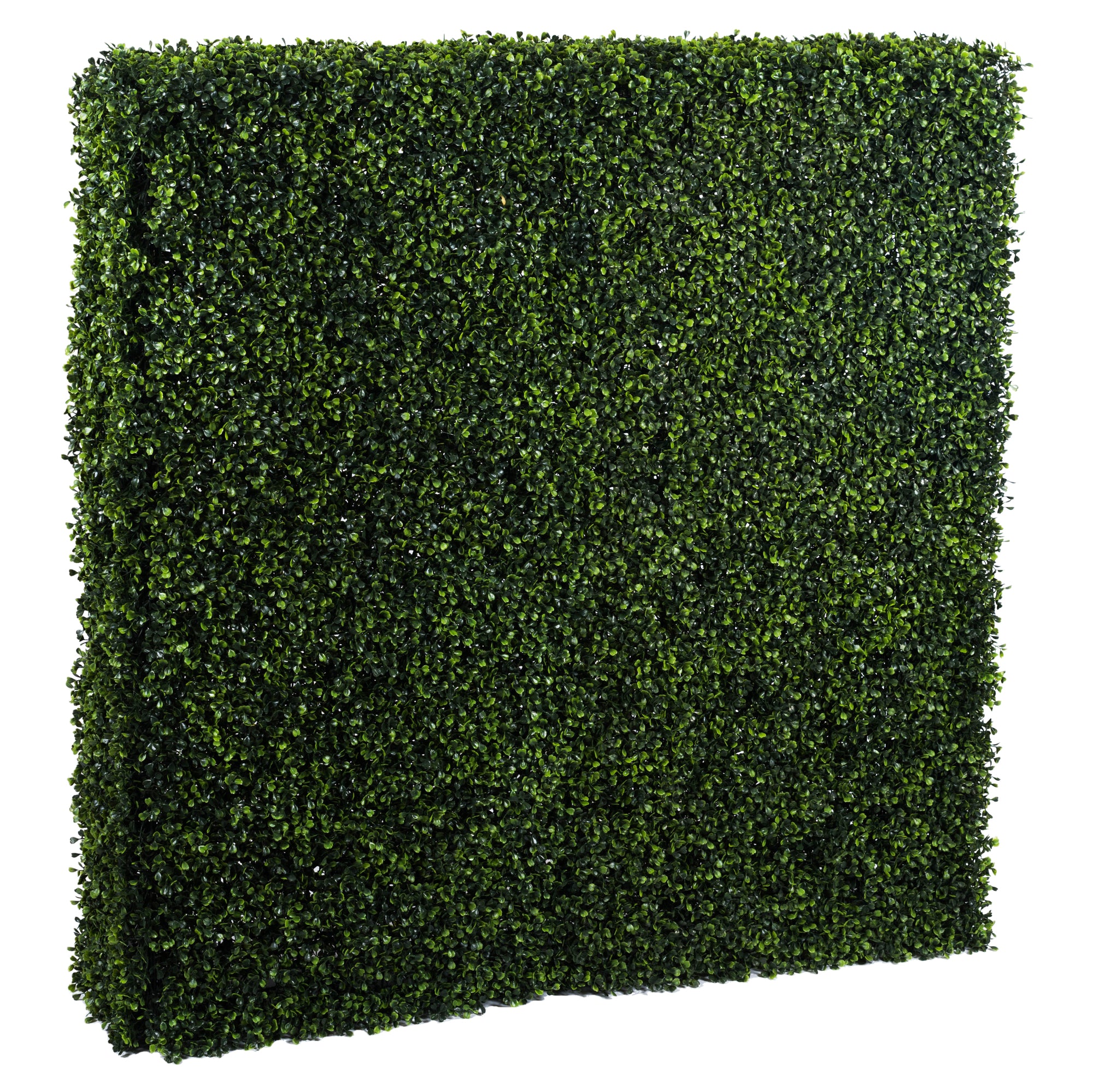 Vickerman Everyday Artificial Boxwood Hedge 48