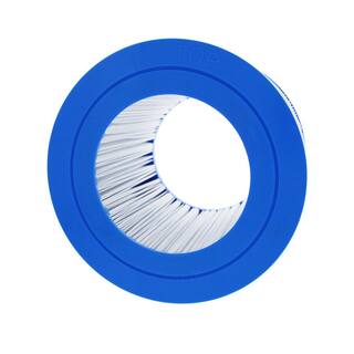 Tier1 8.63 in. x 10.06 in. 100 sq. ft. Filter for R173213590540001561-26 Pool and Spa Cartridge TIER1-PAS-1100