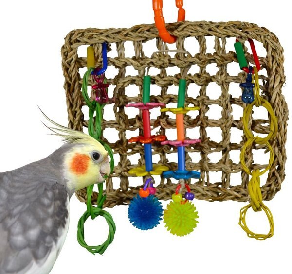 Super Bird Creations Mini Activity Wall Bird Toy， Medium