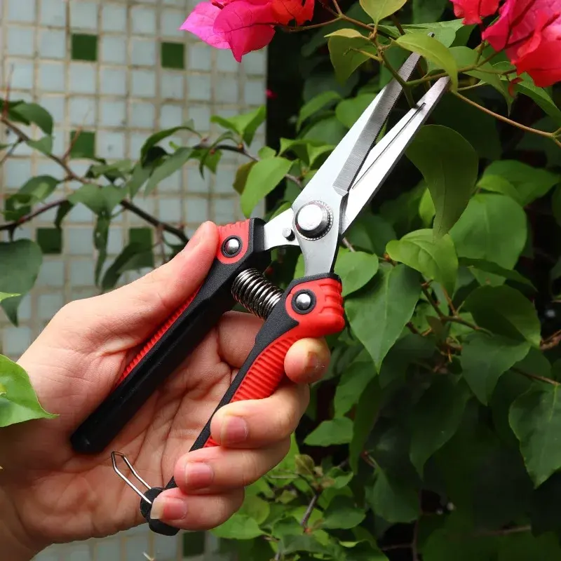 Wholesale price garden hand tool Stainless Steel Household fruit picking scissor branches cutting scissor with safety lock