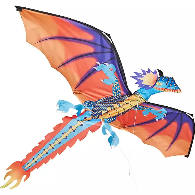 Academy Sports + Outdoors Phoenix Dragon Kite