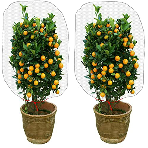 2PCS Insect Barrier Fine Plant Netting Covers- 47×31.5in Garden Pest Bugs Bird Mesh Netting Bags with Drawstring for Protecting Fruit Trees Plants from Cicadas Squirrels Birds Animals