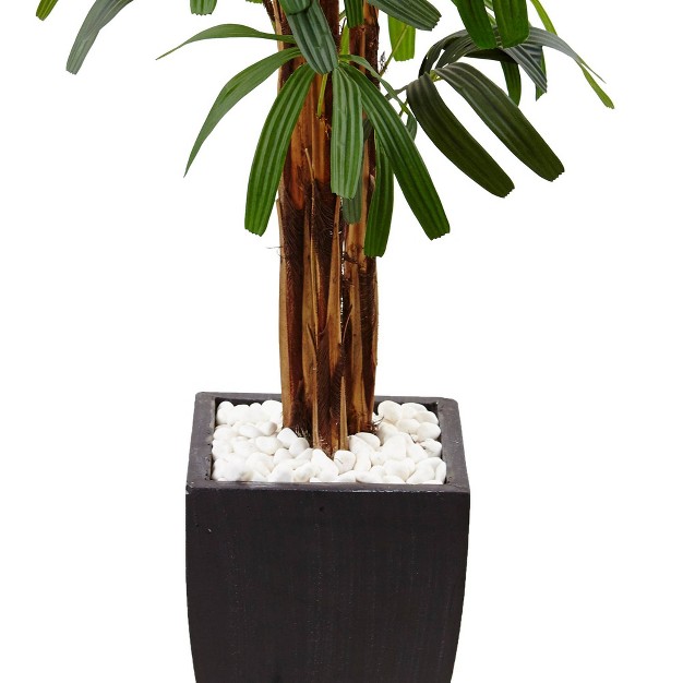 5.5ft Artificial Raphis Palm Tree In Black Planter - Nearly Natural