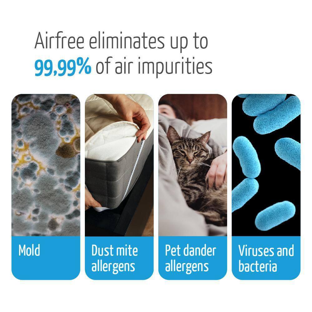 AirFree Plus 650 sq.ft. Filter-Free Technology Patented Thermodynamic TSS Air Purifier Black Destroys Mold Silent Operation P3000 Plus