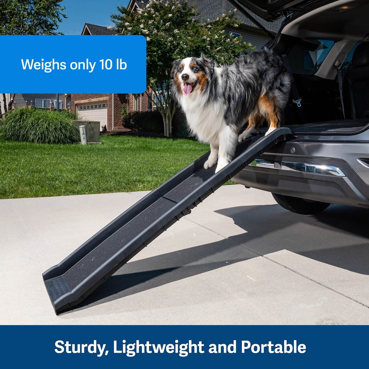 PetSafe Happy Ride Foldable Dog Car Ramp