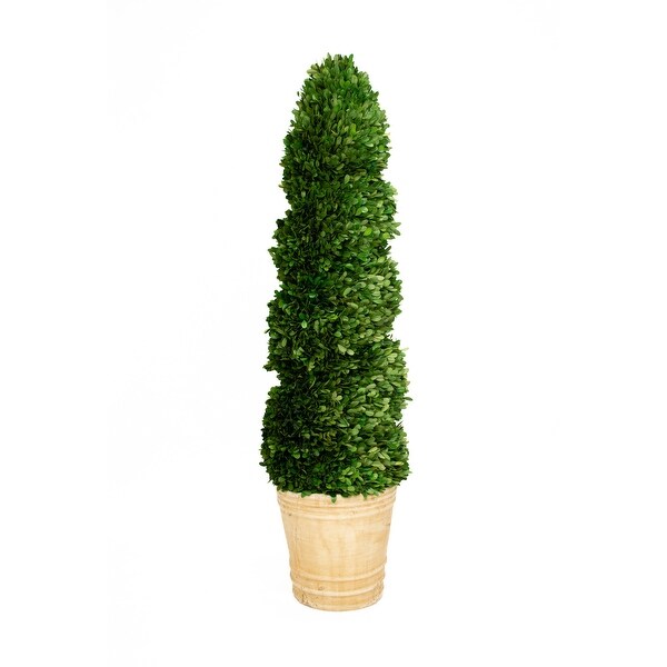 Preserved Boxwood Topiary