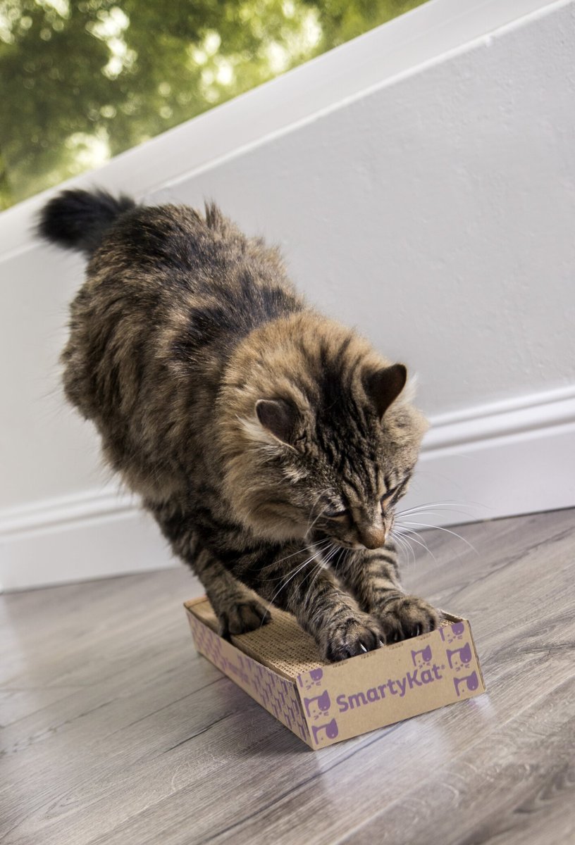 SmartyKat Super Scratcher with Catnip Cat Scratcher