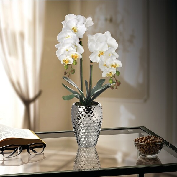 Phalaenopsis Orchid In Hammer Silver Pot 24