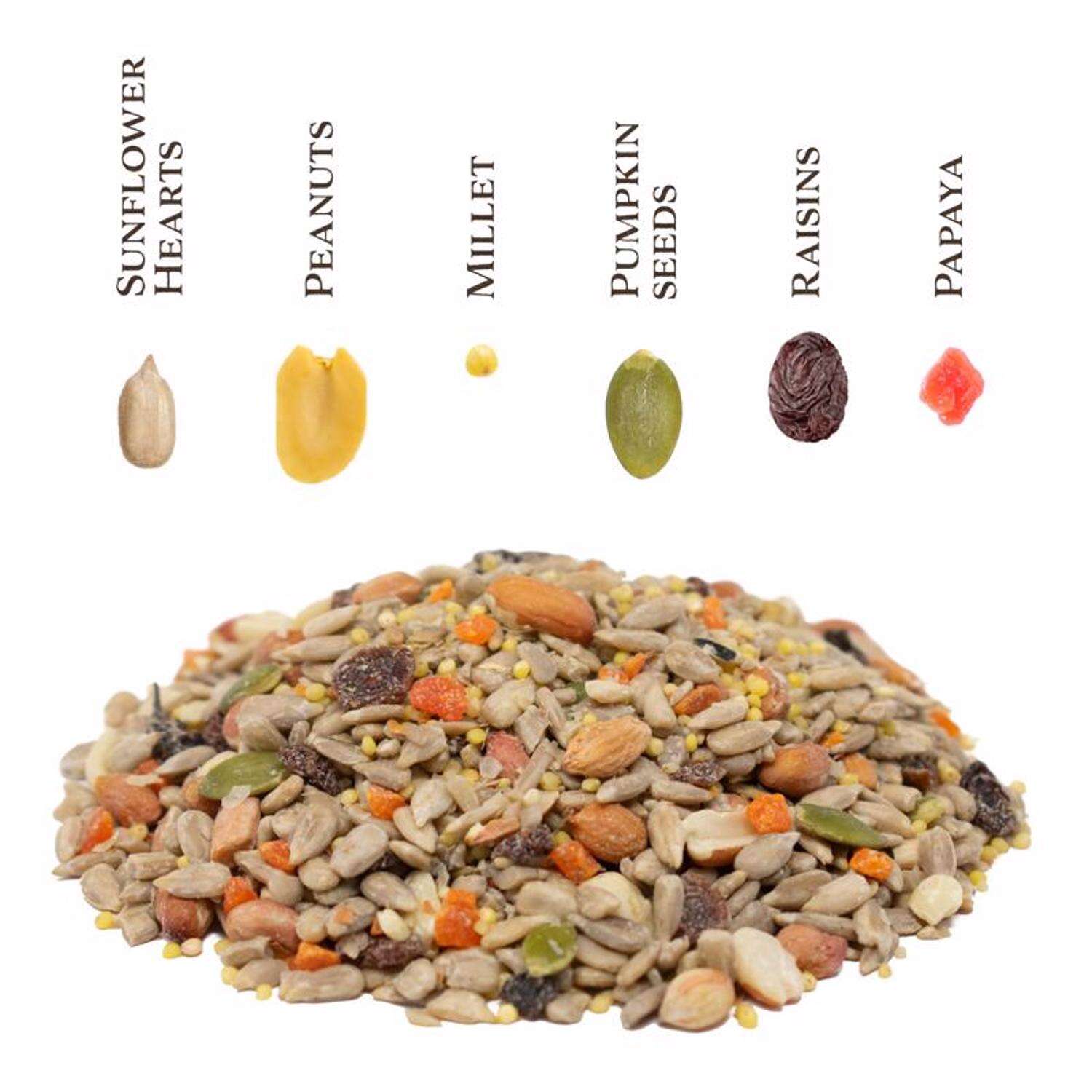 Songbird Selections Wild Bird Seed Wild Bird Food 10 lb