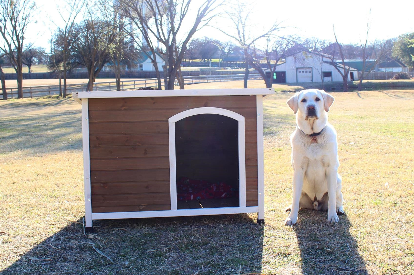 Zylina Log Cabin Wooden Dog House with PVC Roof 46