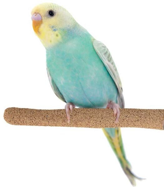 Super Bird Creations Sure-Grip Grooming Perch， Small