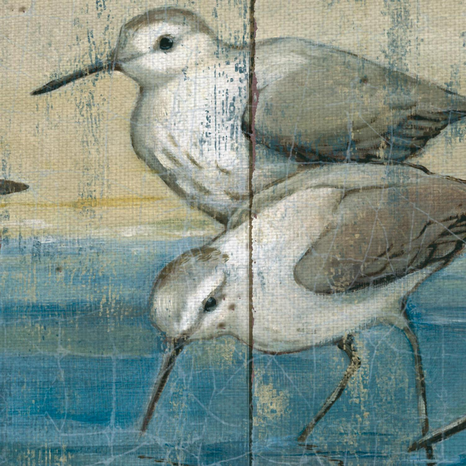 Masterpiece Art Gallery Sandpipers On Wood Coastal Birds By Paul Brent Canvas Art Print 24  x 36  Crowdfused