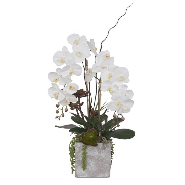 Real Touch White Orchid with Succulent Arrangement in Square Stone Pot