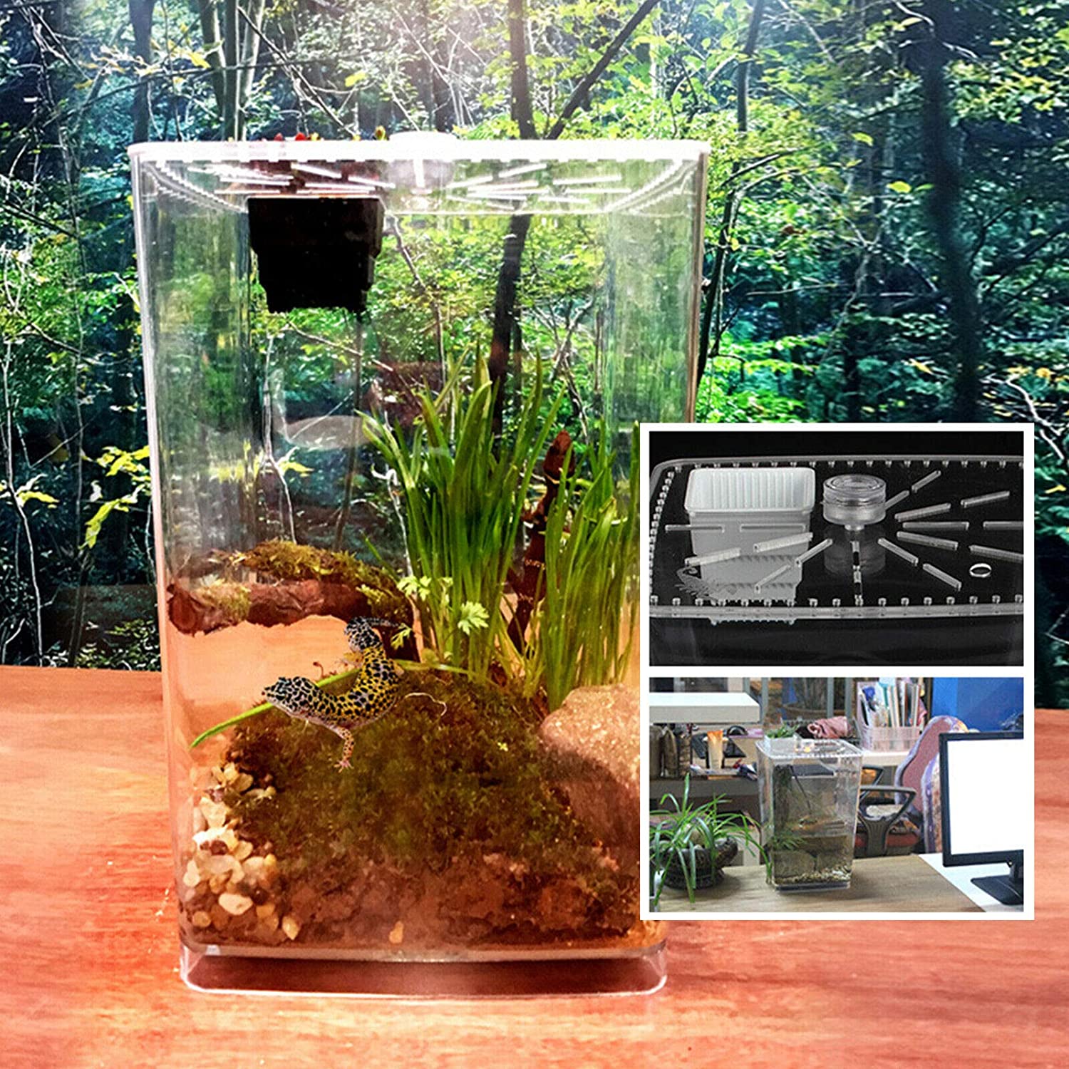 Acrylic Enclosure Terrarium Supplies for Tarantula Scorpion Reptile Tank 29.5cm