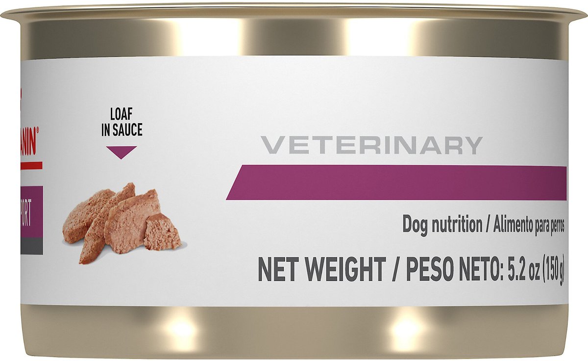 Royal Canin Veterinary Diet Adult Renal Support Early Consult Loaf in Sauce Canned Dog Food