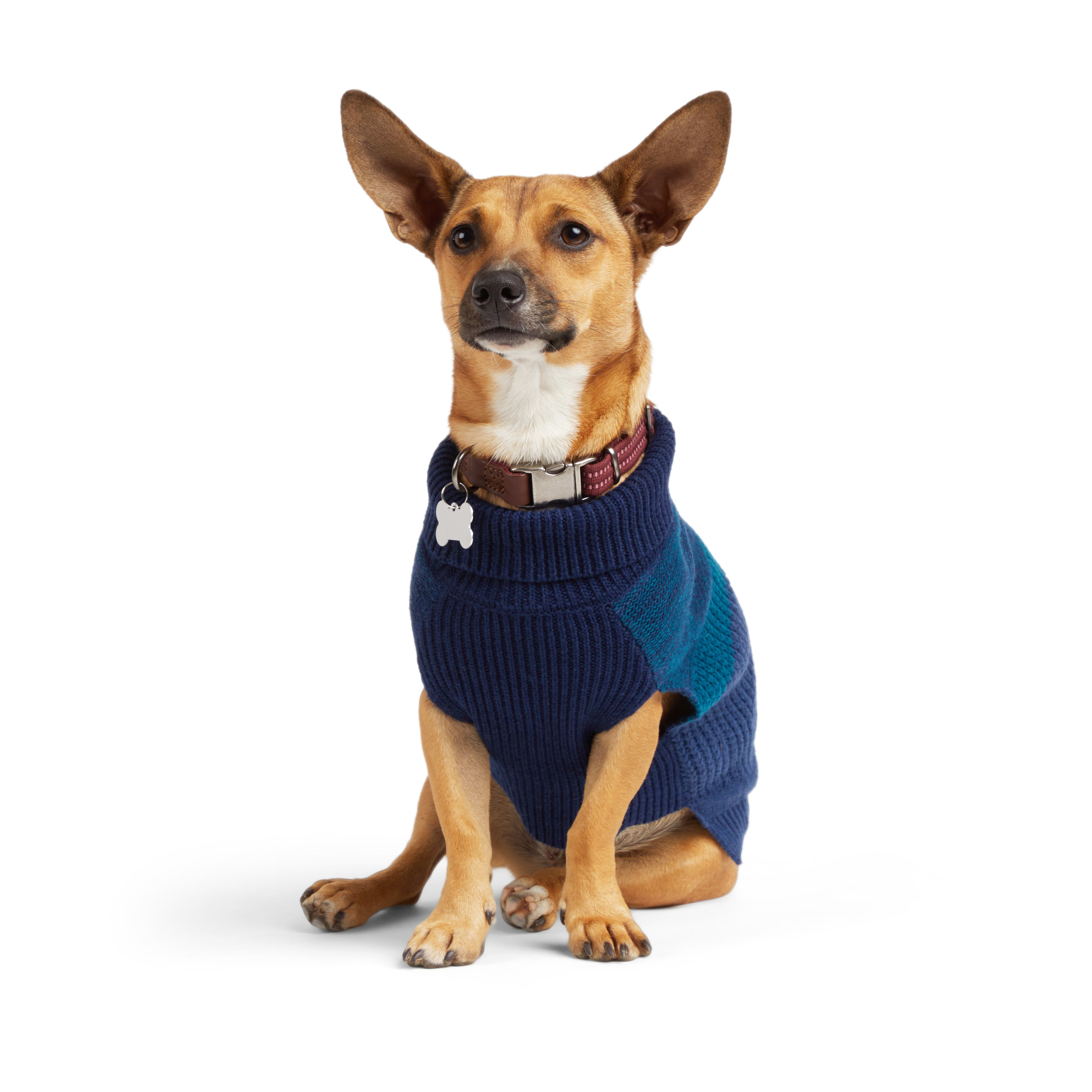 Reddy Navy/Blue Colorblock Dog Sweater， X-Small