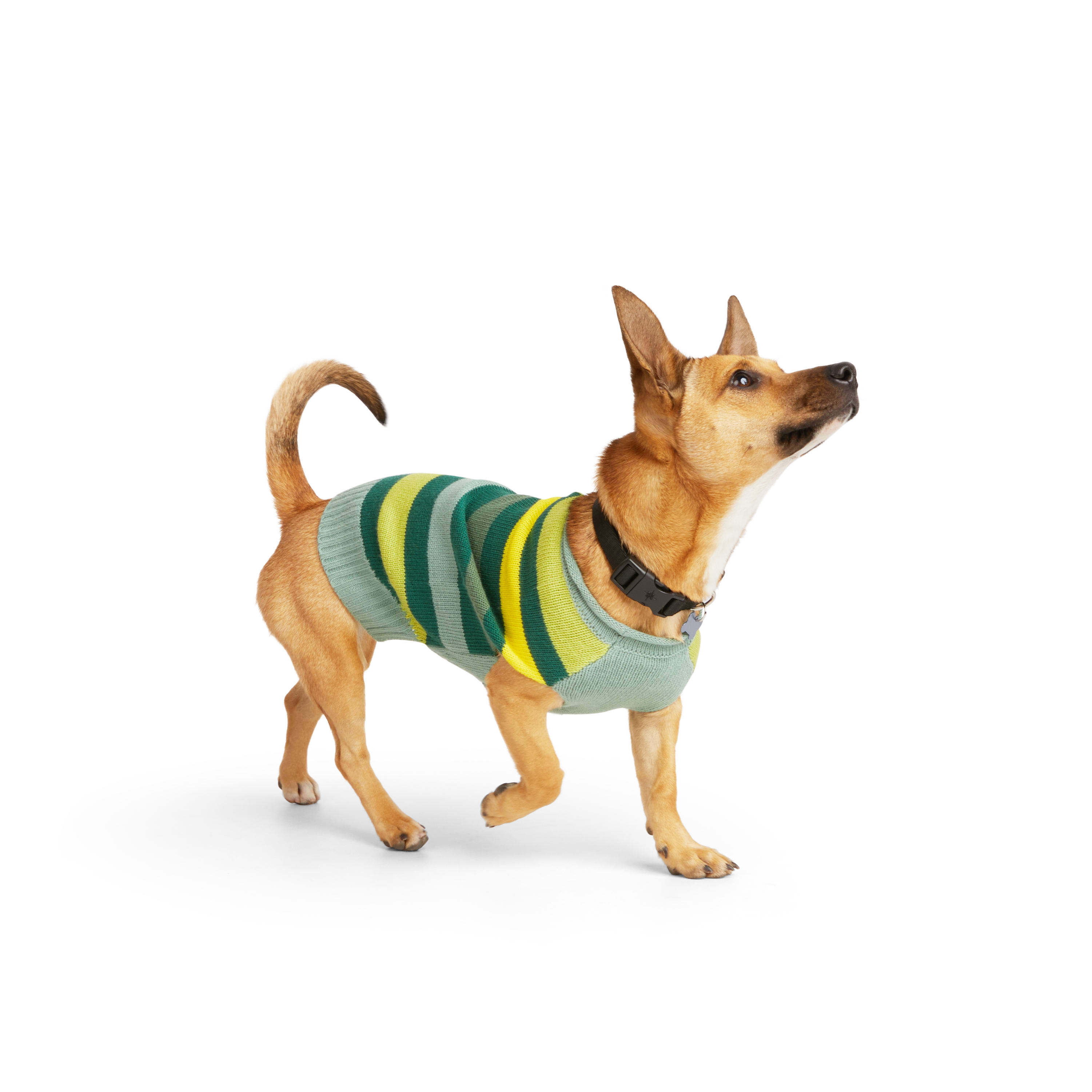 YOULY Green Stripe Dog Sweater， XX-Small