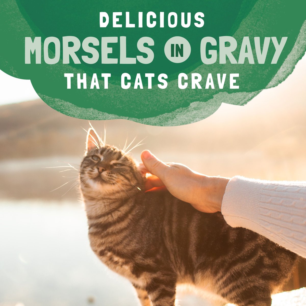 Natural Balance Platefulls Chicken and Giblets Formula in Gravy Grain-Free Cat Food Pouches