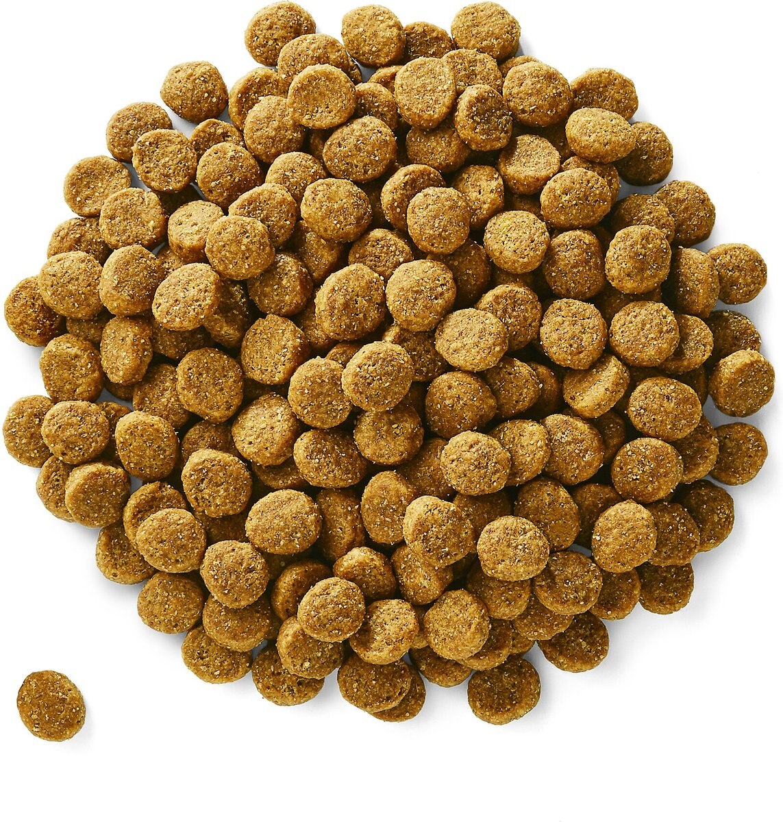 Solid Gold Star Chaser Chicken and Brown Rice with Vegetables Adult Dry Dog Food