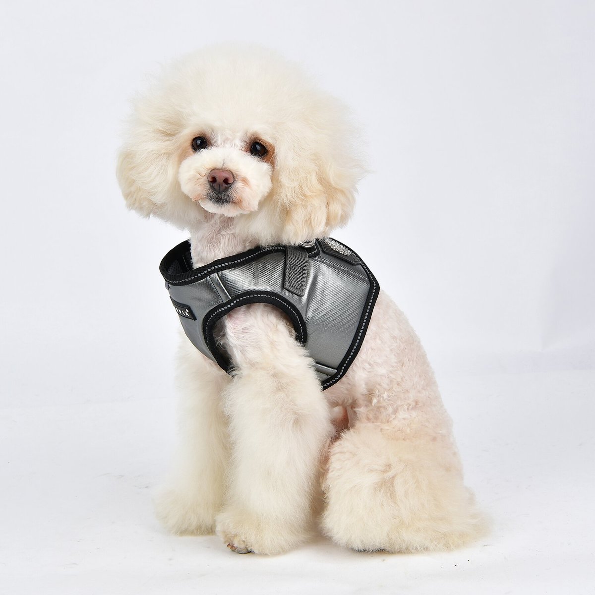 Puppia Legacy B Dog Harness