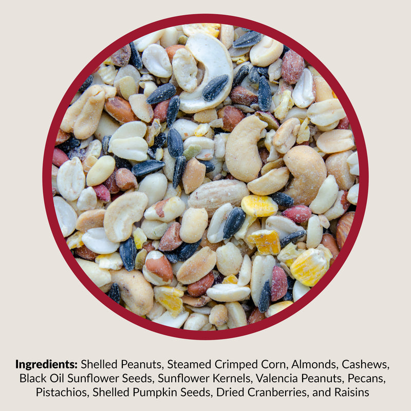 FRUIT  NUT BIRD FOOD20#