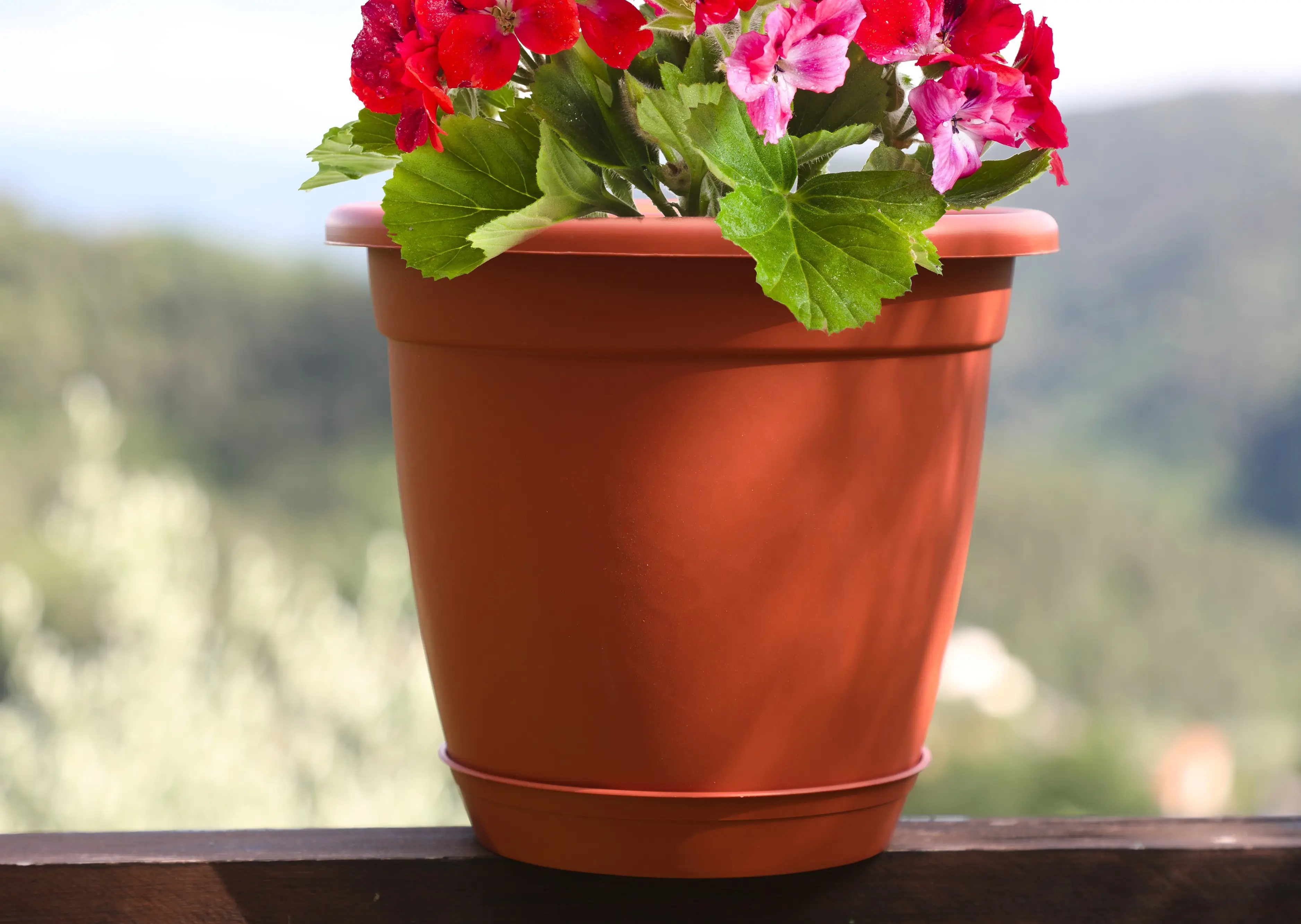 New Arrivals 2024 Garden Pot Plastic Flower Pot Italian  For Your Plants