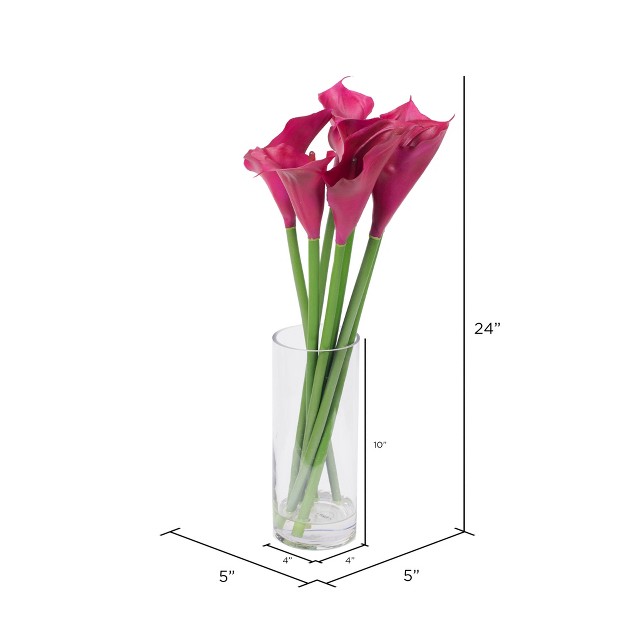 Purple Calla Lillies In Glass Vase.