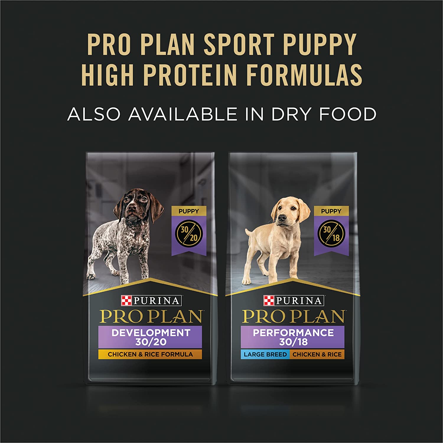 Purina Pro Plan Sport Puppy High Protein Chicken and Rice Wet Dog Food， 13-oz can， case of 12