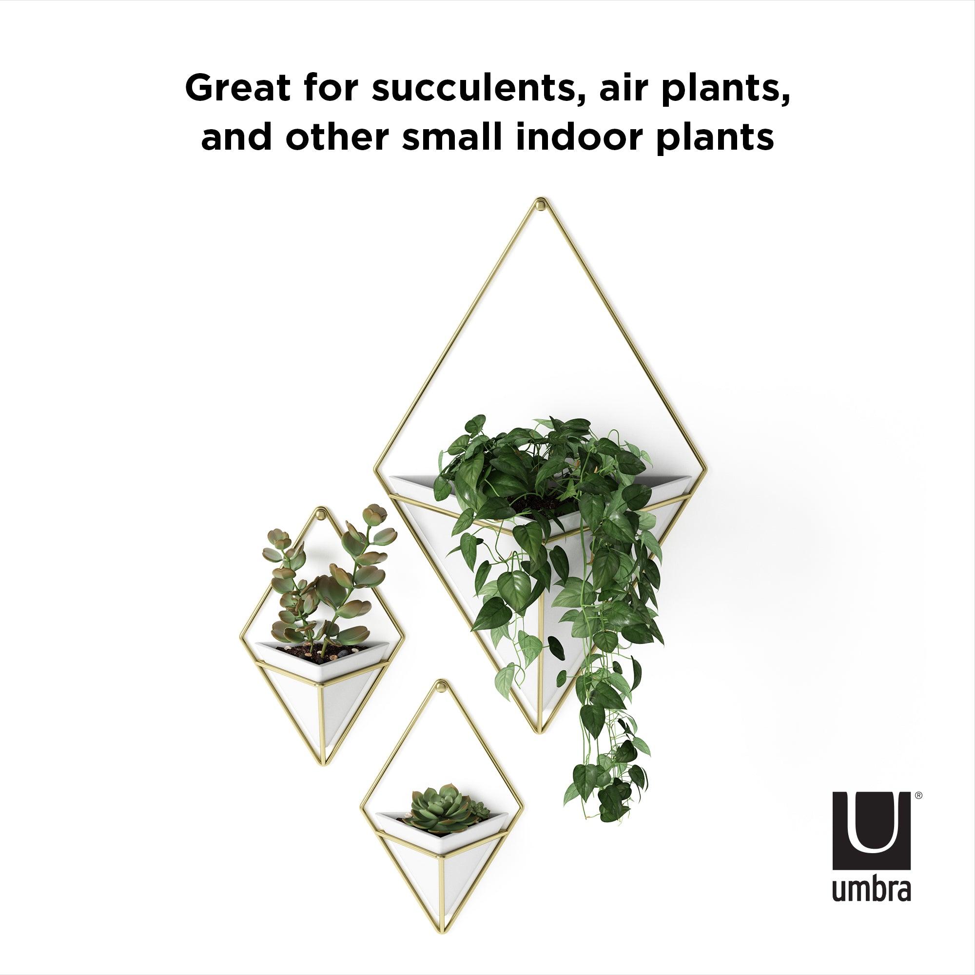 Umbra Trigg Ceramic Hanging Planter Wall Décor, Set of 2 White/Brass