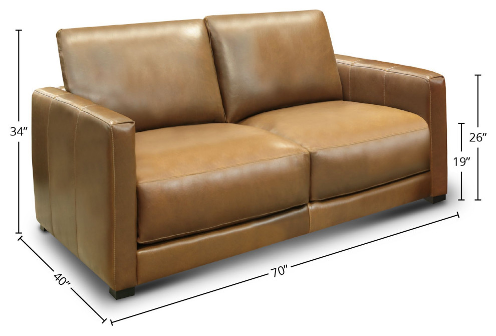 Raffa 100% Top Grain Leather Contemporary Loveseat Sofa   Contemporary   Loveseats   by Hello Sofa Home  Houzz