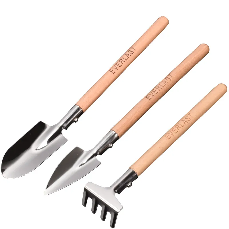 Hot Sell Stainless Steel Head Wood Handle Garden Hand Tools Mini 3Pcs Garden Tool Set For Succulent Planting Tools