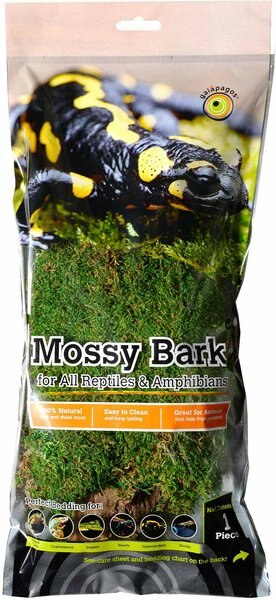 Galapagos Mossy Bark Terrarium Wood， Natural