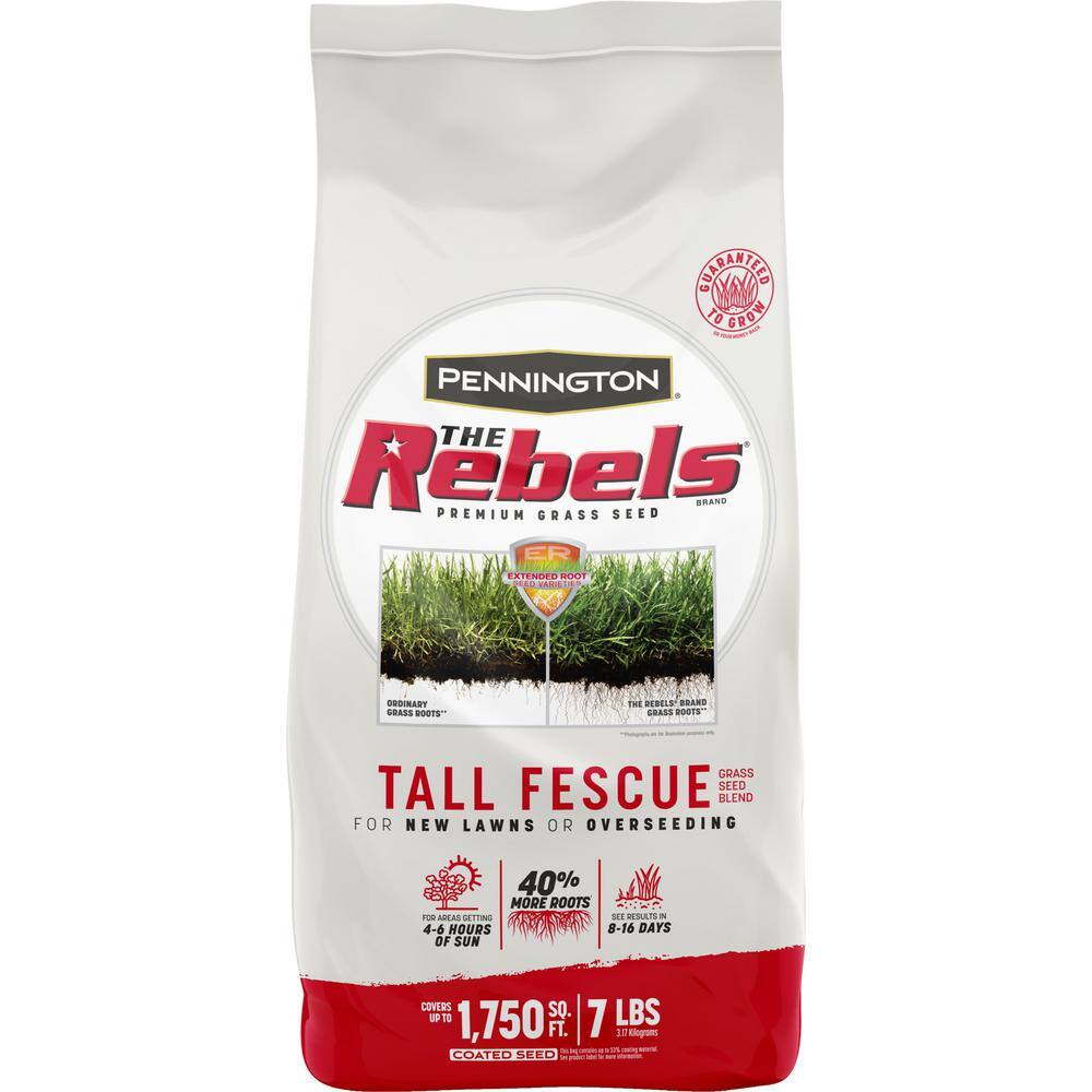 Pennington The Rebels 7 lbs. Tall Fescue Grass Seed Blend 100543729