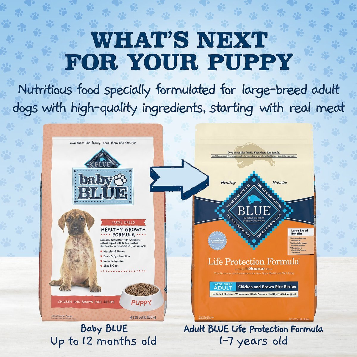 Blue Buffalo Baby Blue Large Breed Healthy Growth Formula Natural Chicken and Brown Rice Recipe Puppy Dry Food， 24-lb bag