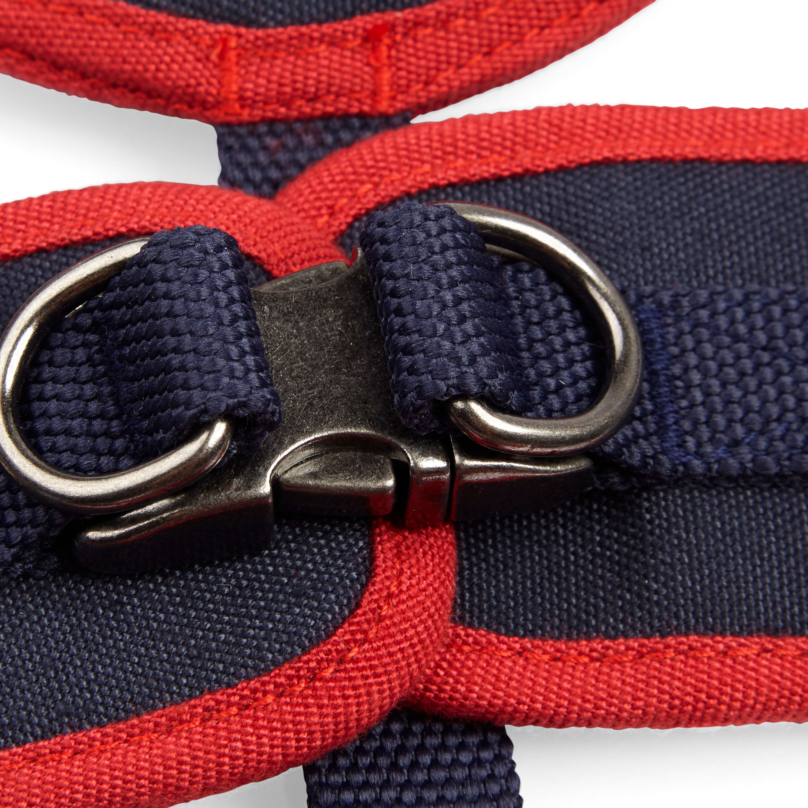 Reddy Navy Canvas Step-In Dog Harness， Medium