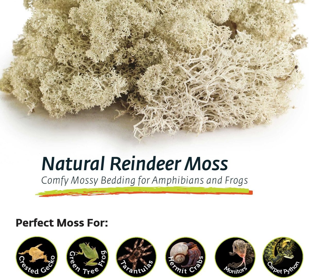 Galapagos Reindeer Reptile， Amphibian and Insect Terrarium Moss， 150 cubic inch bag