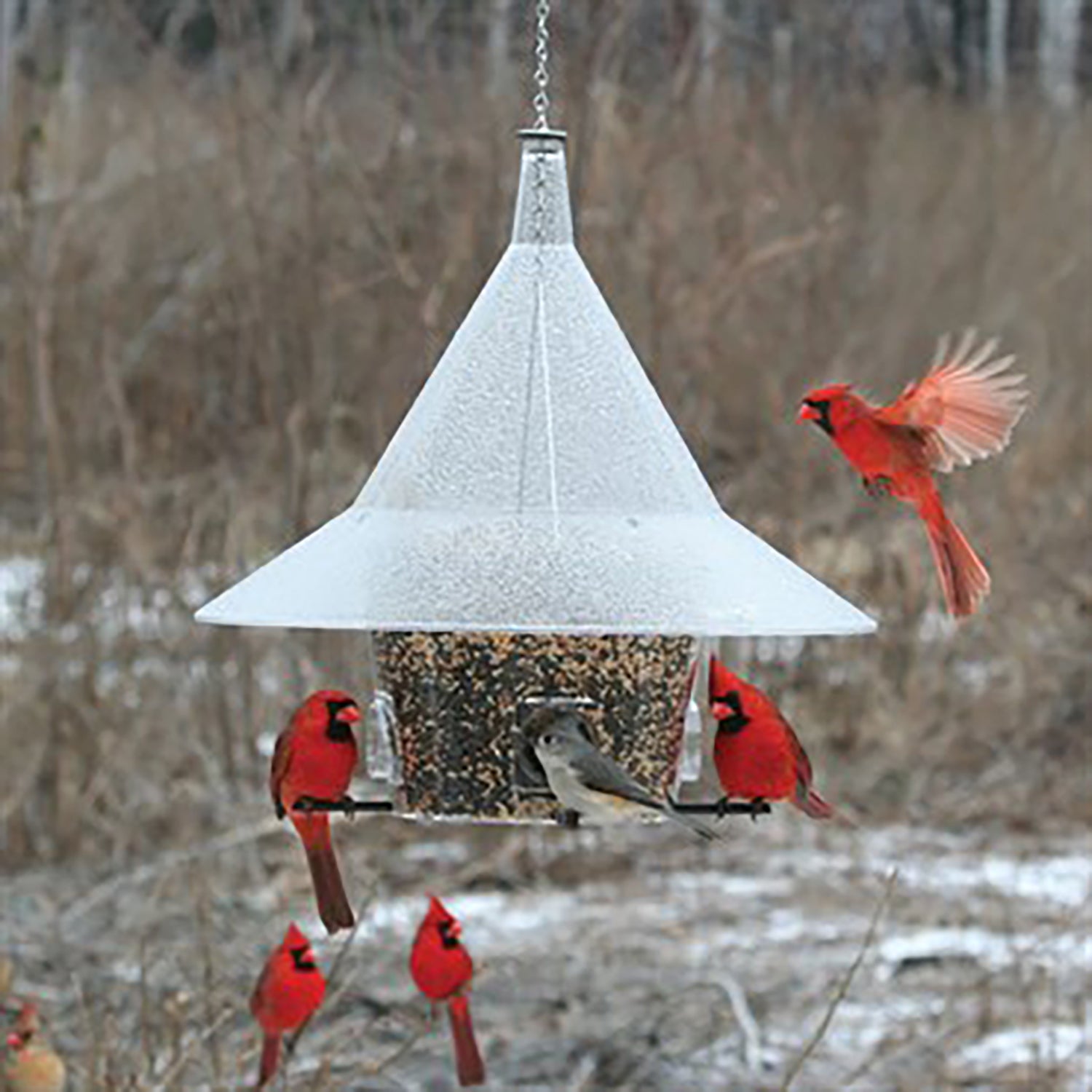 Arundale 150 Mandarin Wild Bird Feeder， 5.5 Quart