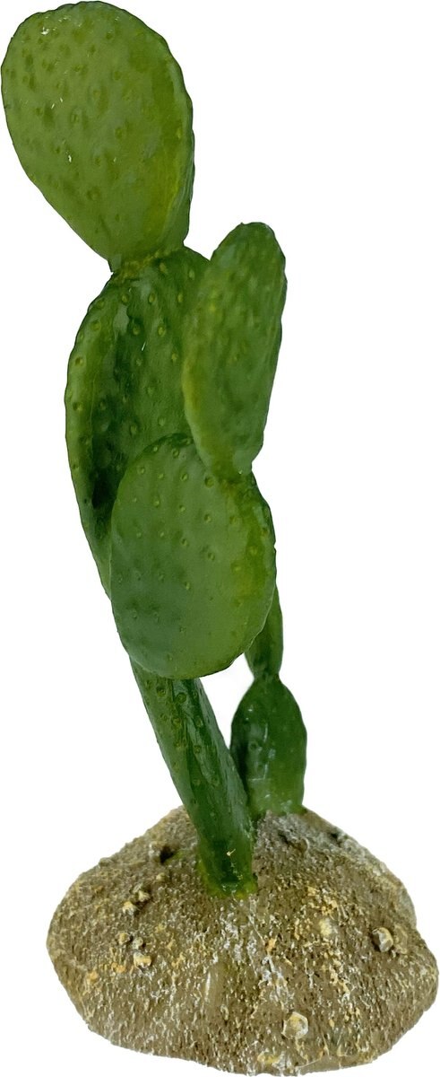 Komodo Cactus Prickly Pear Reptile Ornament， Green