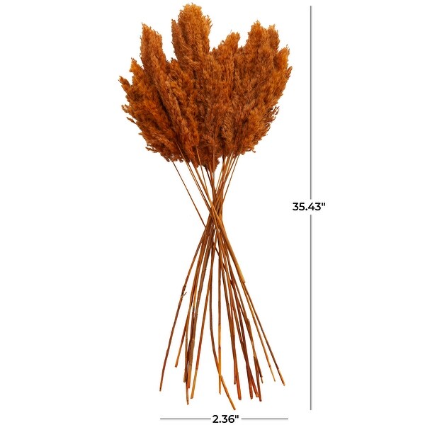 Orange Dried Plant Pampas Home Decor Natural Foliage with Long Stems