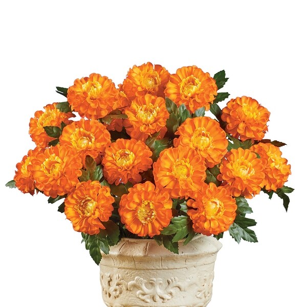 Marigold Mixed Arrangement Bushes