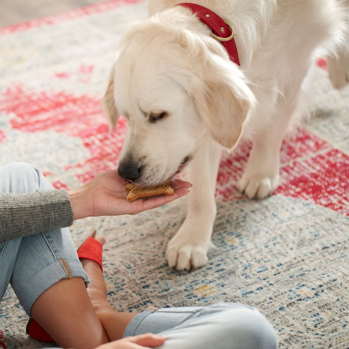 Milk-Bone Flavor Snacks Large Biscuit Dog Treats