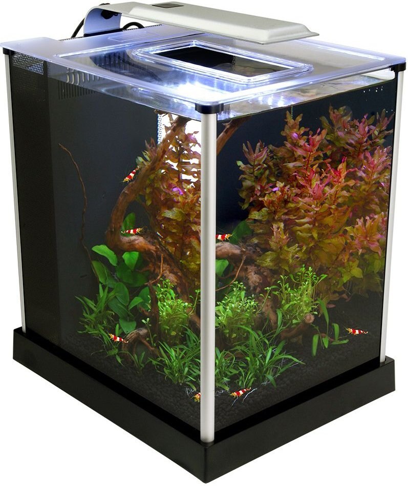 Fluval EBI Shrimp Aquarium Kit， 2.6-gal