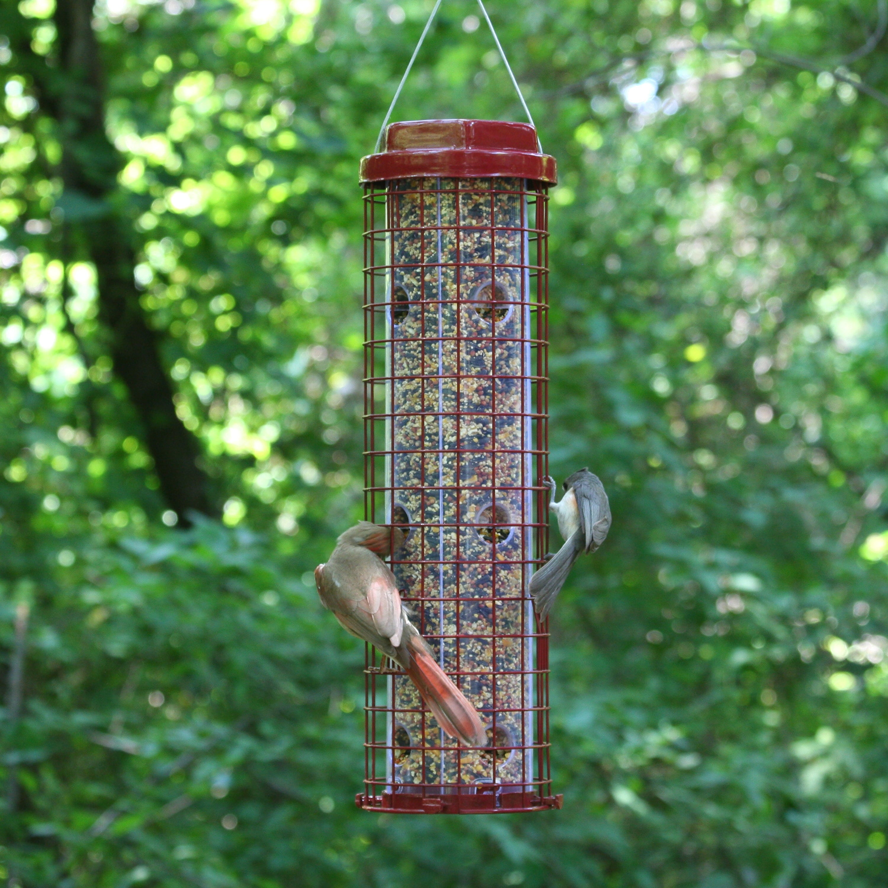 Perky-Pet Red Squirrel Resistant Easy Wild Bird Tube Feeder - 4 lb