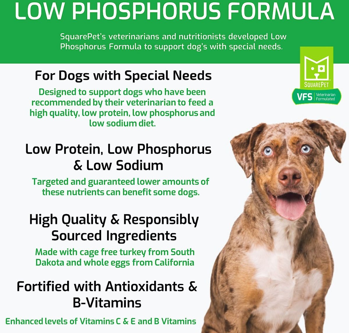 SquarePet VFS Low Phosphorus Formula Dry Dog Food