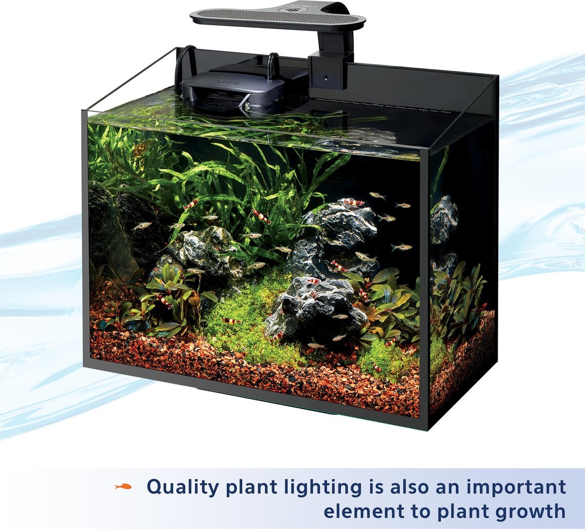 Aqueon Aquarium Freshwater Plant Food