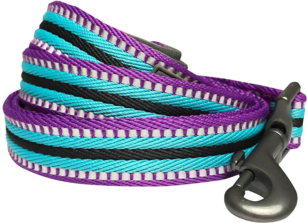 Blueberry Pet 3M Striped Polyester Reflective Dog Leash