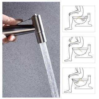 GIVING TREE Minimalist Single Handle Bidet Faucet with Bidet Sprayer for Toilet with Flexible Bidet Hose In Sliver XLHDDOTU0109