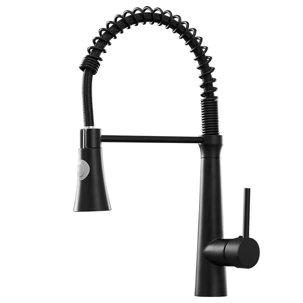 Boyel Living Black Stainless Steel Faucet Single-Handle Faucet Pull-Down Sprayer Kitchen Faucet BM2008B