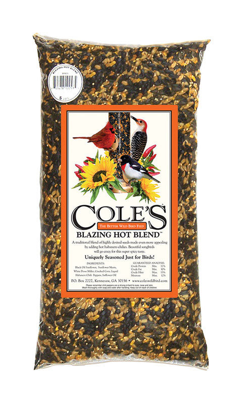 BLAZING HOT BIRD SEED20#