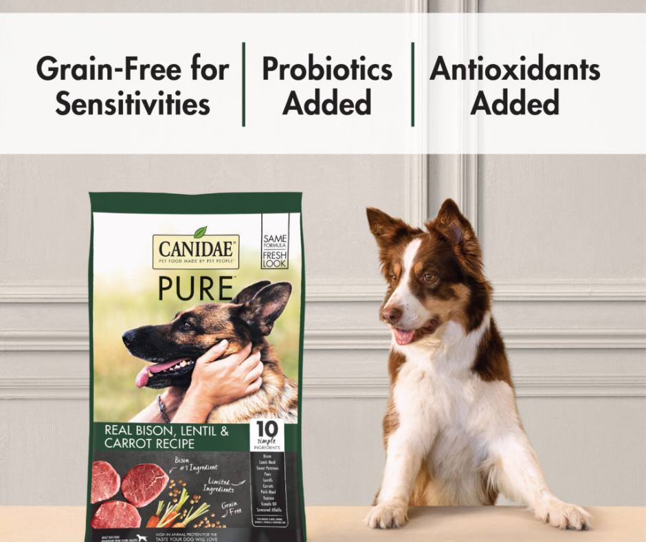 Canidae Grain Free PURE - All Breeds， Adult Dog Real Bison Limited Ing